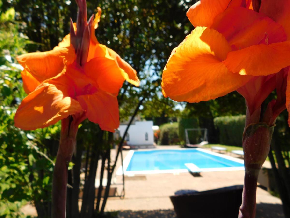 Appartamento Con Piscina Immersa Nel Verde Cascina Exteriör bild