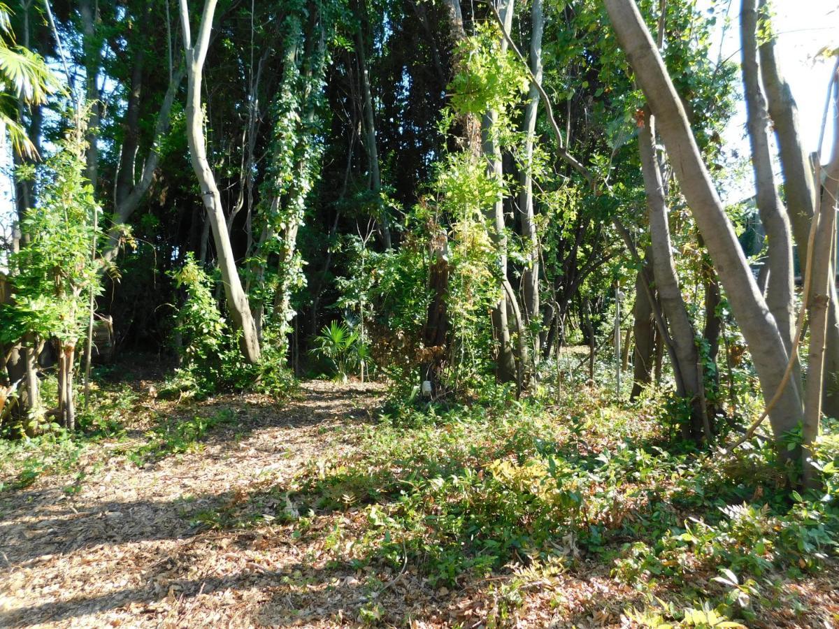 Appartamento Con Piscina Immersa Nel Verde Cascina Exteriör bild