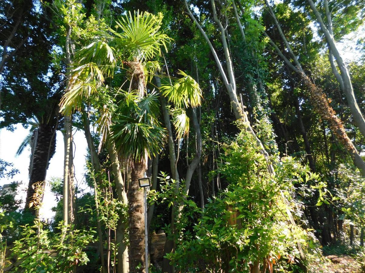 Appartamento Con Piscina Immersa Nel Verde Cascina Exteriör bild