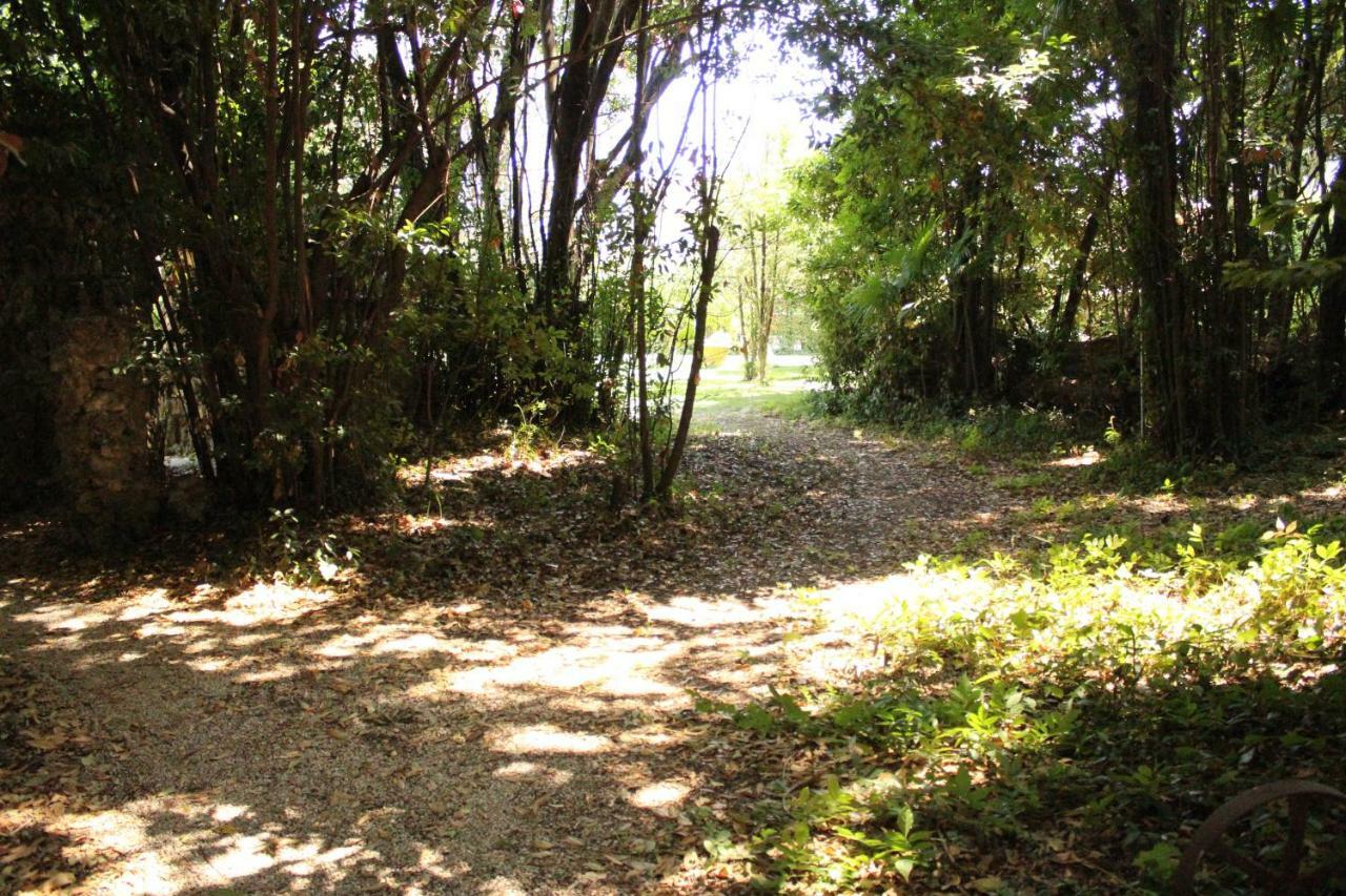 Appartamento Con Piscina Immersa Nel Verde Cascina Exteriör bild